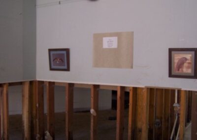 A library wall with lower drywall removed shows exposed studs beneath two framed bird prints and a blank exhibition panel. The floor and wall framing are stained from flooding.
